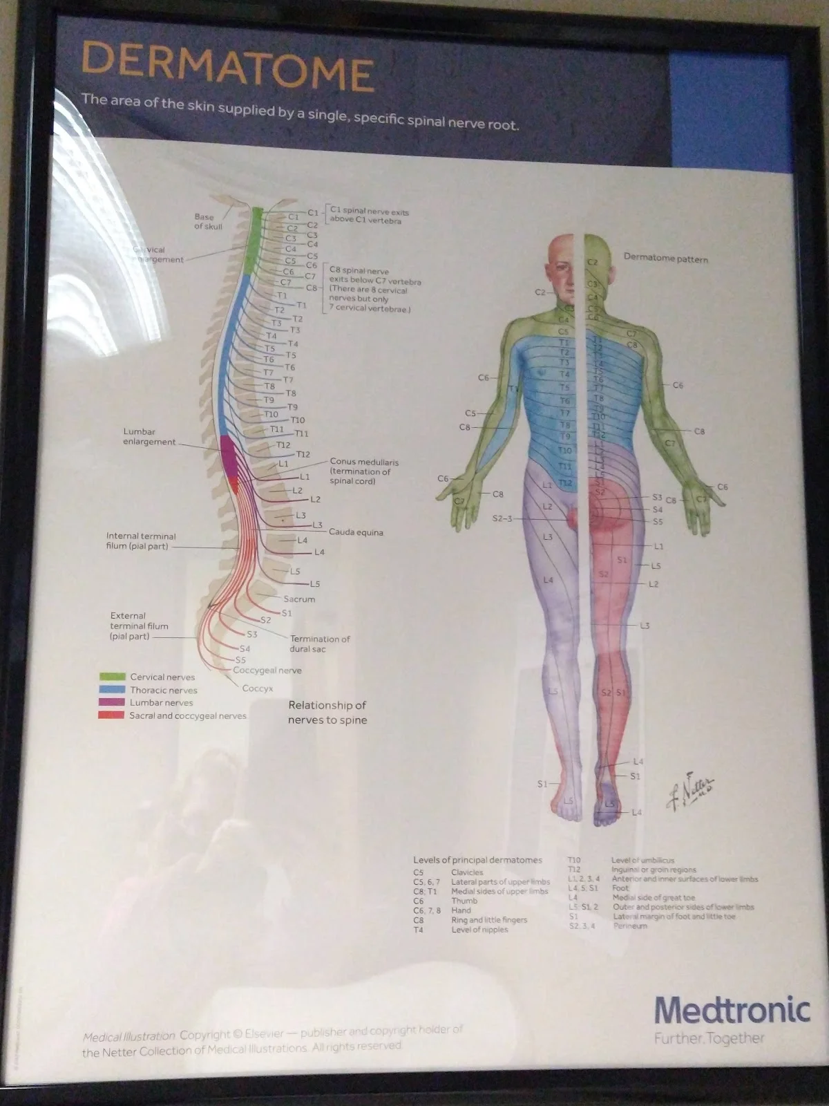 Pain Rehab of WNY with Dr. Pratibha Bansal, M.D. - Photo 2