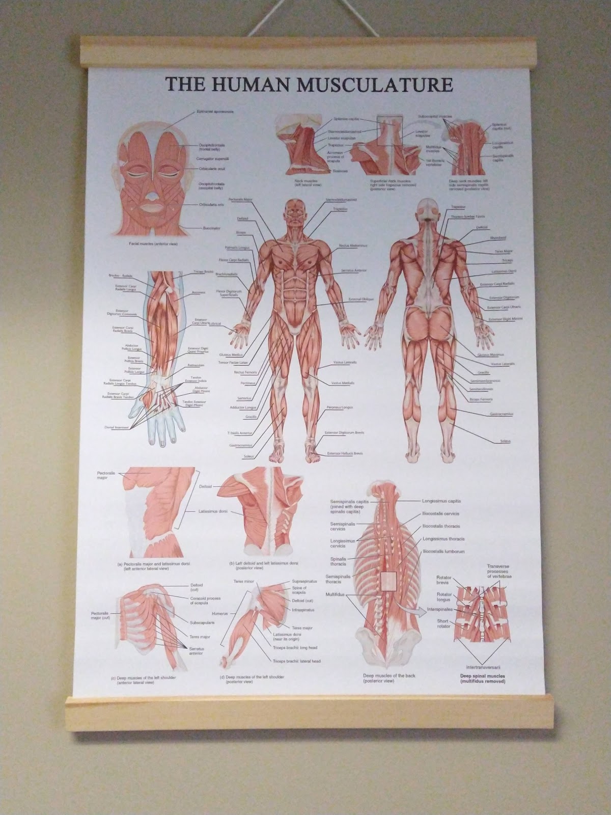 Pain Rehab of WNY with Dr. Pratibha Bansal, M.D. - Photo 4