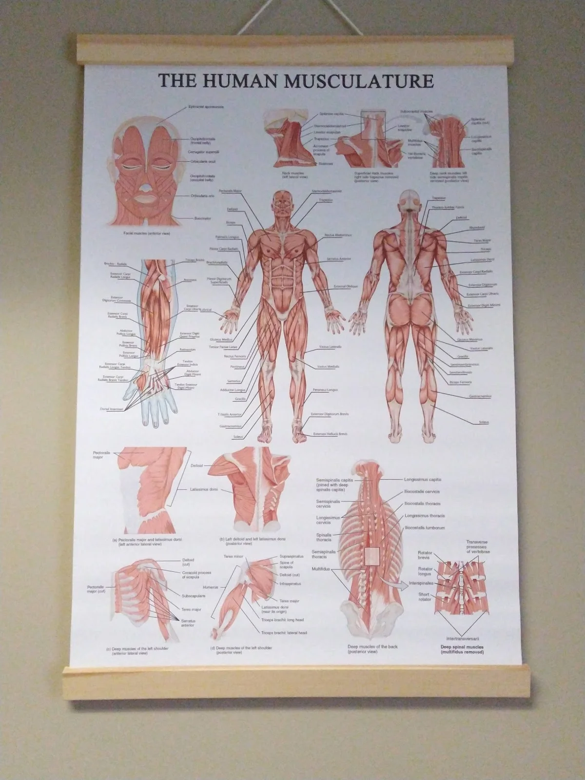 Pain Rehab of WNY with Dr. Pratibha Bansal, M.D. - Photo 4