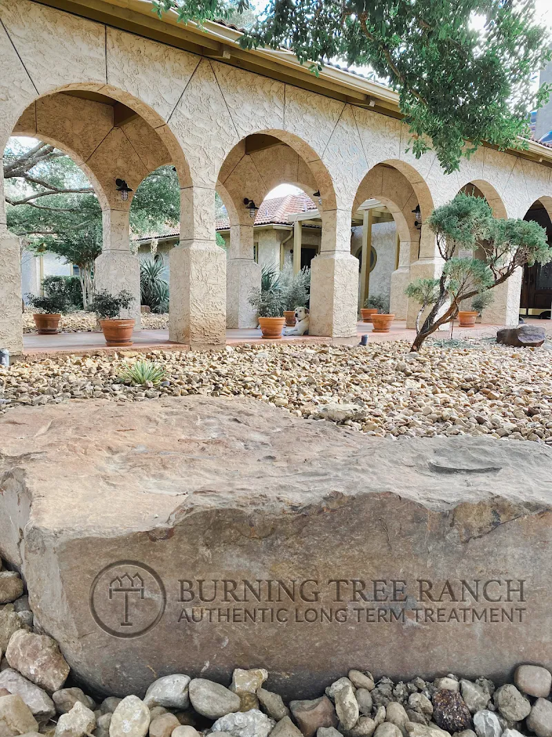 Burning Tree Ranch - Photo 5