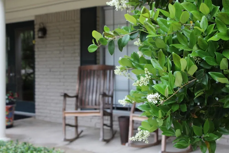 Recovered and Free - Photo 3