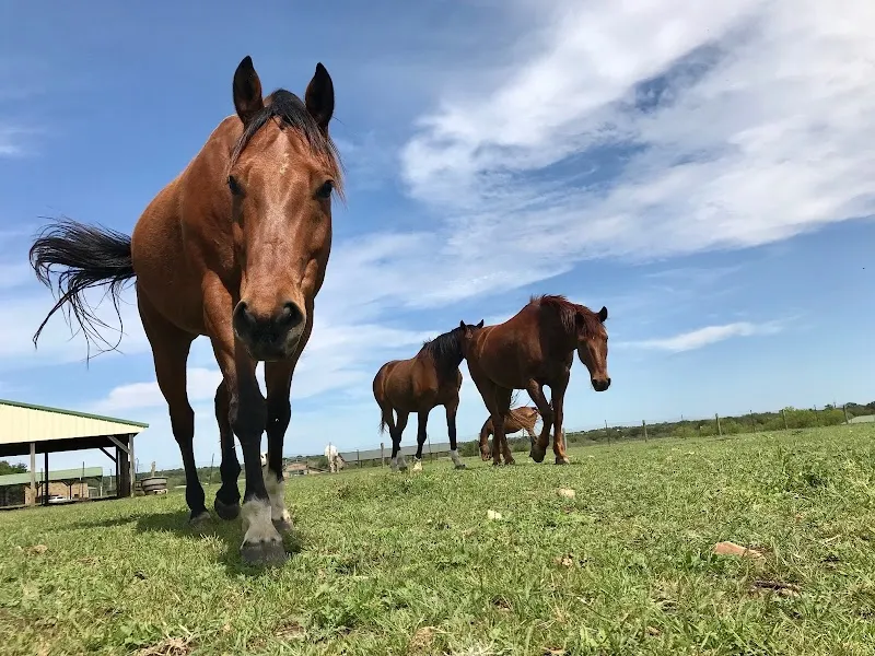 The Arbor Behavioral Healthcare - Photo 3