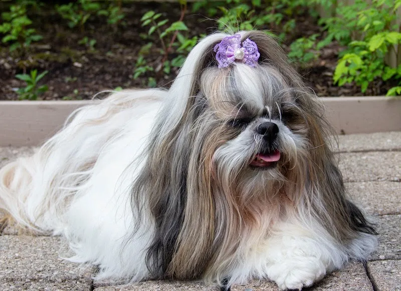 Tully Hill Treatment & Recovery - Photo 5