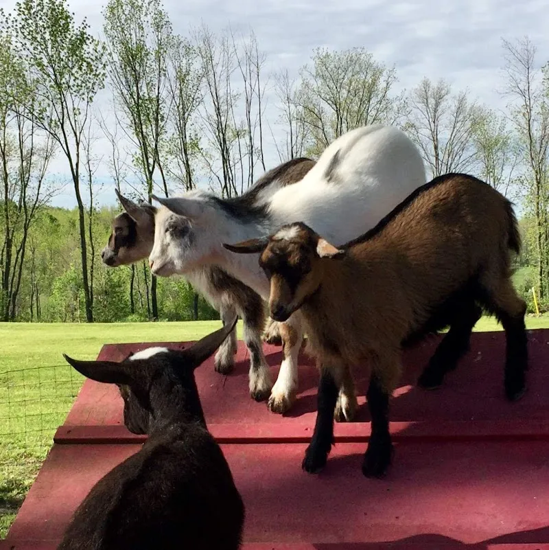 Total Freedom New York - Photo 3