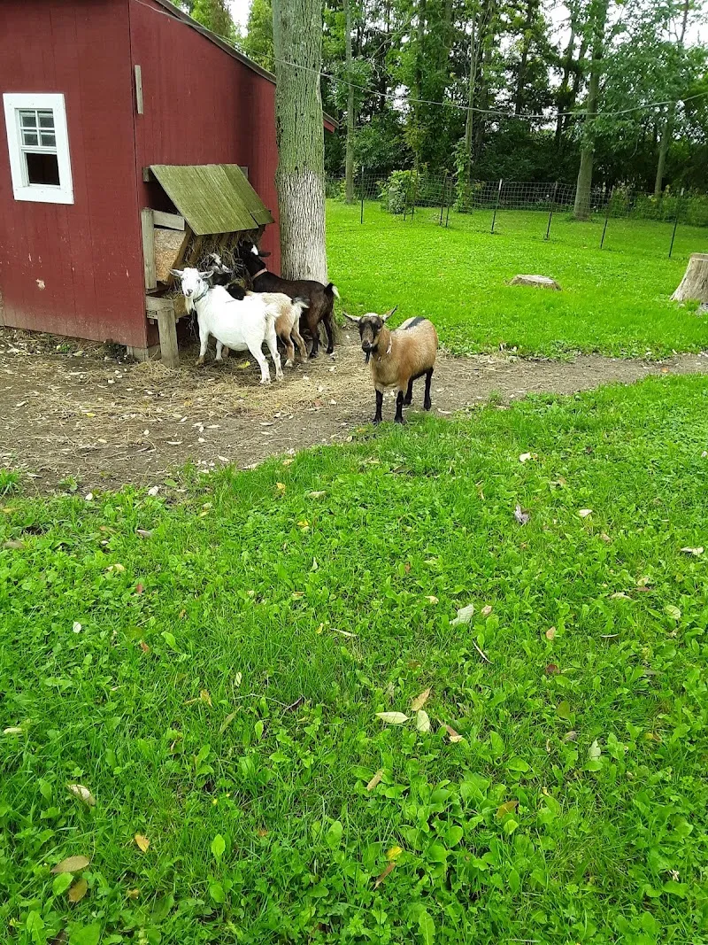 Total Freedom New York - Photo 4