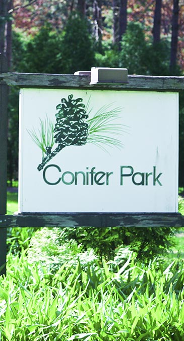 Conifer Park: Inpatient Addiction Treatment Drug & Alcohol Detox & Rehab Center In New York - Photo 6