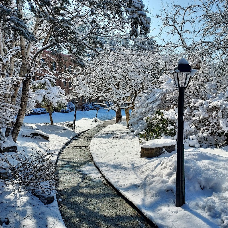 Conifer Park: Inpatient Addiction Treatment Drug & Alcohol Detox & Rehab Center In New York - Photo 2