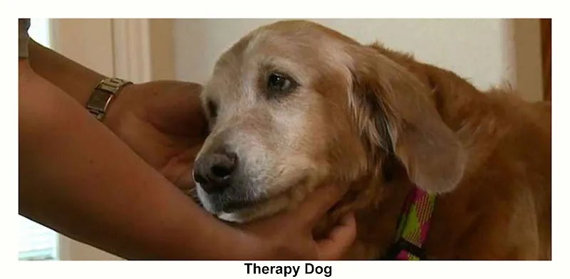 Brylin Hospital Treatment - Photo 2